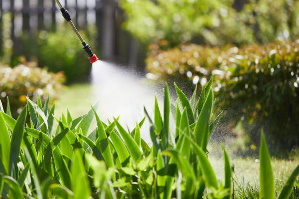 24/7 Emergency Fumigation Services experts in Dobson, NC