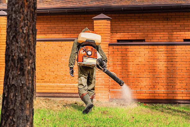 Top rated local Fumigation Services specialists in Dobson, NC
